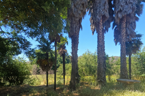 Curacaví Valley: Private Wine Tour of Viña Lopez Pangue and El Cuadro Curacaví Valley: Private Wine Route Tour - Viña Lopez Pangue and El Cuadro