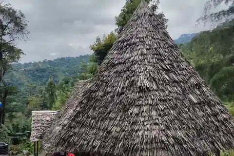 Arusha: Visita à cascata de Materuni e à plantação de café