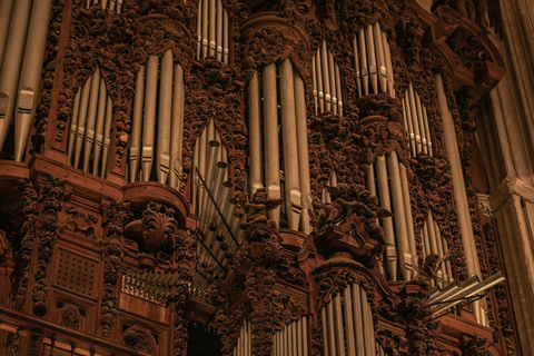 Seville: Cathedral & La Giralda Guided Tour with Tickets