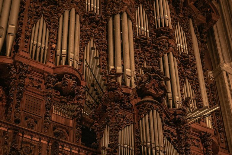 Seville: Cathedral & La Giralda Guided Tour with Tickets