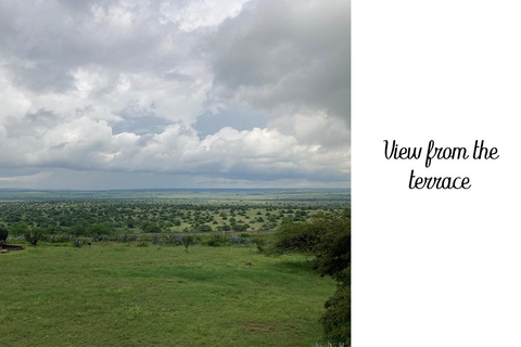 Nairobi: African Heritage House Tour with Lunch