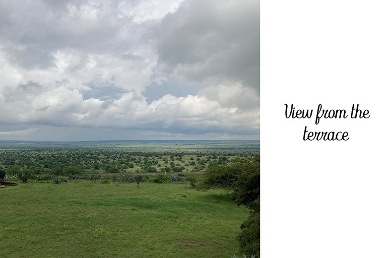 Nairobi: African Heritage House Tour with Lunch