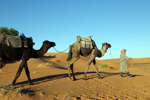 Agadir ou Taghazout : Visite guidée de 2 jours dans le désert de Zagora