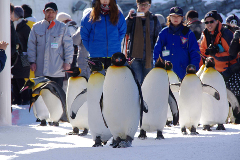 Sapporo: Asahiyama Zoo, Shirahige Falls /w Lunch & Ticket 7:40 Meet at Tokyu REI Hotel