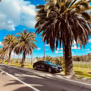 Adelaide Cruise Ship Tours