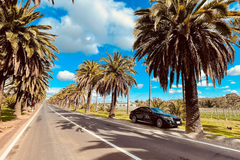 Passeios de cruzeiro guiado em AdelaideTour de vinhos divinos em Adelaide Hills