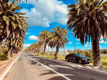Adelaide Cruise Ship Tours
