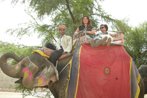 Jaipur: Amber Fort, Stadtpalast und Hawa Mahal Tagestour