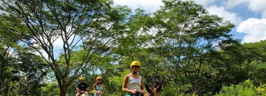 Jaco : Randonnée à cheval dans la forêt tropicale jusqu'à la cascade d'El Encanto