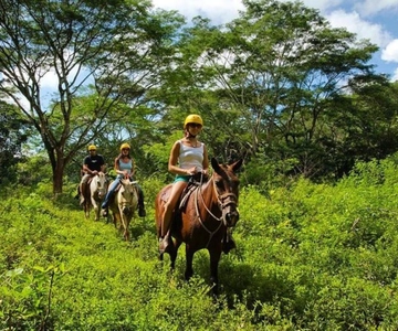 Jaco: Passeggiata a cavallo nella foresta pluviale fino alla cascata El Encanto