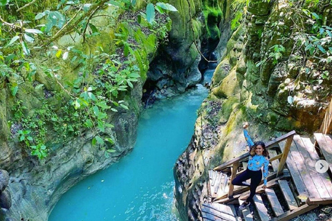 Puerto Plata: Damajagua Waterfalls & Monkeyland Tour