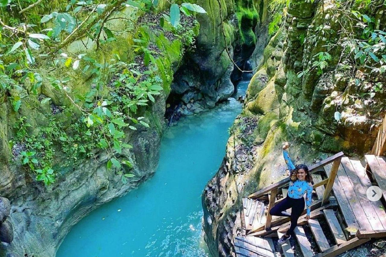 Puerto Plata: Damajagua Waterfalls & Monkeyland Tour