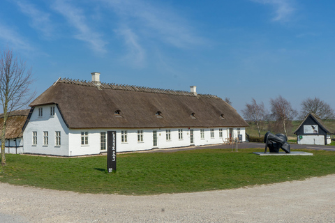 Copenhagen: Viking Heritage Trail Private Tour