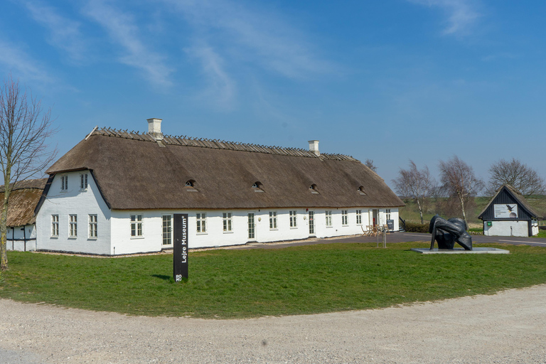 Copenhagen: Viking Heritage Trail Private Tour