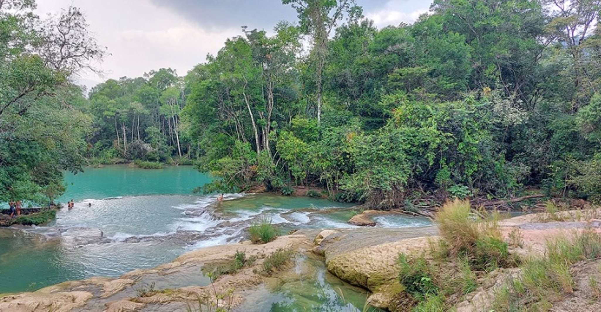 From Palenque,Wonders of the Roberto Barrios Waterfalls Tour - Housity