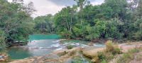 Van Palenque, wonderen van de Roberto Barrios Waterfalls Tour - Housity