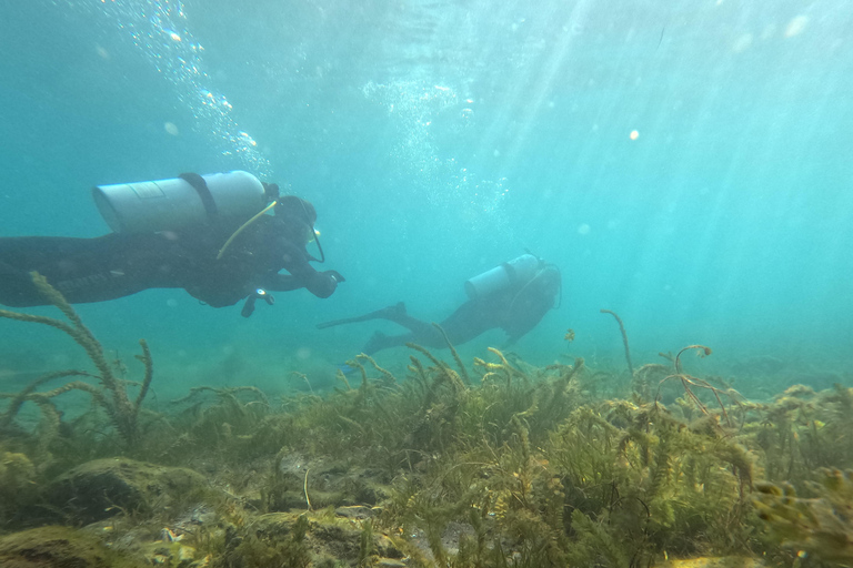 Ohrid: Taucherlebnis im Ohridsee