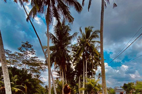 Ubud rice terrace, waterfall, and temple guided trip Bali