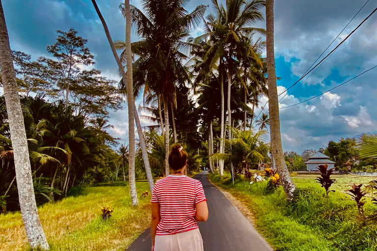 Ubud rice terrace, waterfall, and temple guided trip Bali