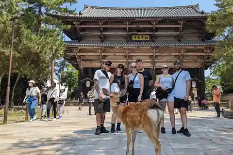 ULTIMATE NARA WALK: Temples, Knives, Crafts & Tea Ceremony