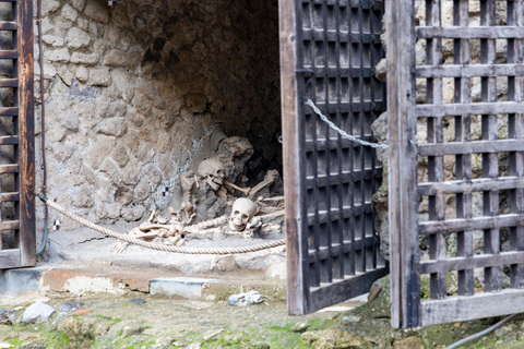 Naples/Salerno Port: Pompeii & Herculaneum - Optional lunch FROM NAPLES: Semi Private Group - NO LUNCH