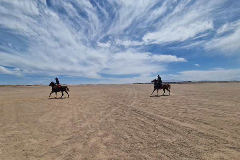 Makadi Bay: ATV, Horse, and Camel Ride Tour
