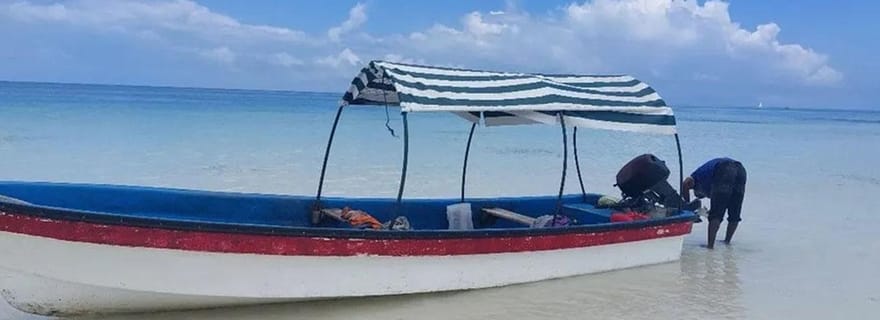 Pemba : Excursion de plongée avec masque et tuba sur l'île de Misali, avec déjeuner barbecue
