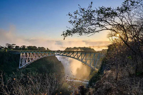 Livingstone: Rhino Tracking & Victoria Falls Combo