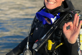 Marseille: Introduction to Scuba Diving - Afternoon Outing