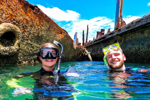 Costa Dorada: Excursión de un día a Moreton Island con ferry y buceo