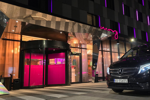 Cracovia: Tour del villaggio di Zalipie