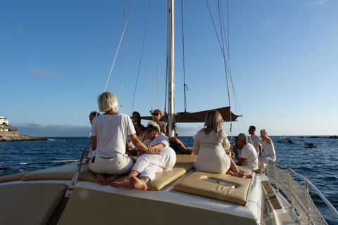 Costa Adeje: Catamaran Tour, Snorkelling, Snacks & Drinks