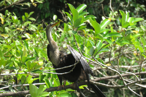 Puerto Maldonado: Tambopata Expeditions 4 Days (expeditions) Puerto Maldonado: Tambopata Expeditions 4 days (expeditions)