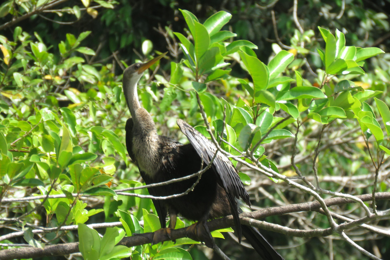 Puerto Maldonado: Tambopata Expeditions 4 Days (expeditions) Puerto Maldonado: Tambopata Expeditions 4 days (expeditions)