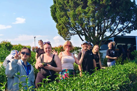 Chiang Rai Discovery:7 Attractions, Tickets & Lunch Included Chiang Rai Discovery: Full-Day Tour with Lunch & Entry Fees