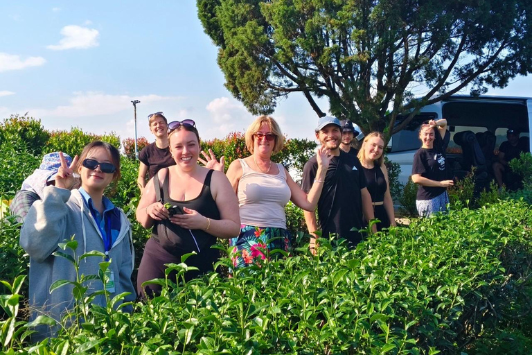 Chiang Rai Discovery:7 Attractions, Tickets & Lunch Included Chiang Rai Discovery: Full-Day Tour with Lunch & Entry Fees