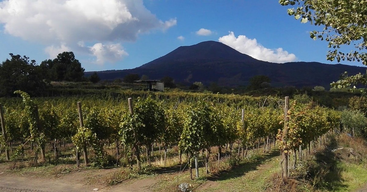 naples-visite-guid-e-priv-e-de-pomp-i-et-randonn-e-sur-le-v-suve
