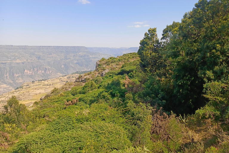 from Addis Ababa, wonchi Lake Suba Hills & Hot Springs