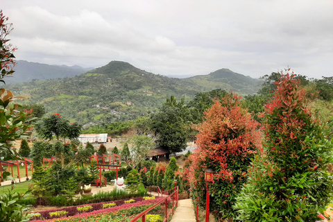 Cebu: Tour guidato delle gemme culturali con 10.000 rose