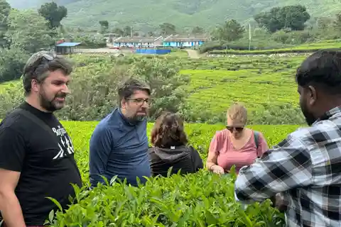 Munnar: Kolukkumalai Tea Plantation Jeep Tour