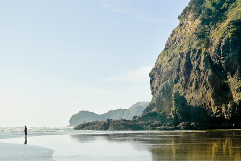 Private Auckland West Coast Tour - On the Edge of Wilderness