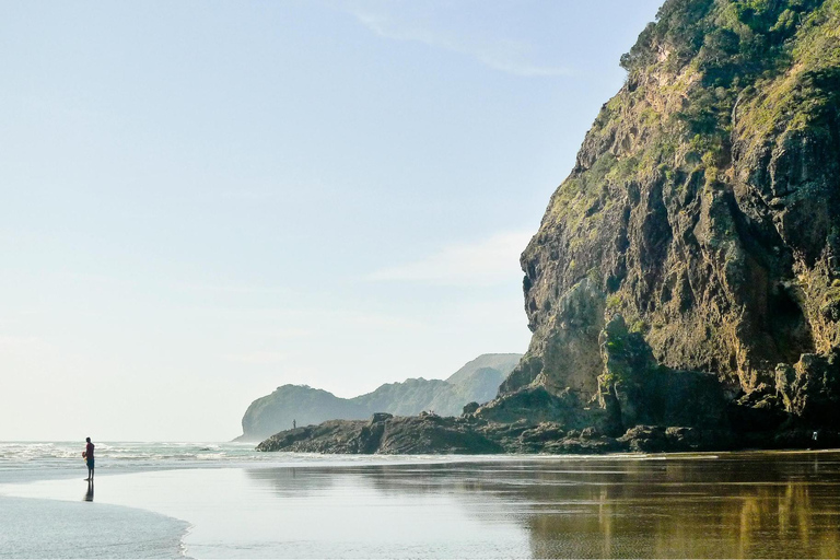 Private Auckland West Coast Tour - On the Edge of Wilderness