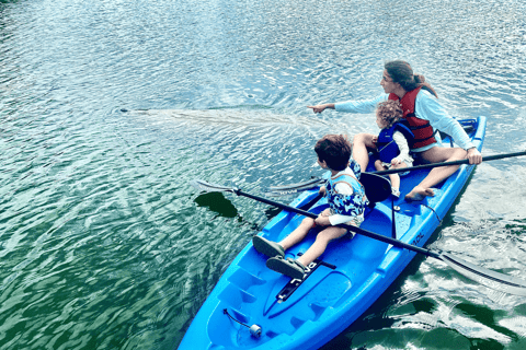 Miami: Manatee Season Paddleboard or Kayak Tour Miami: Manatee Season Single Kayak Tour