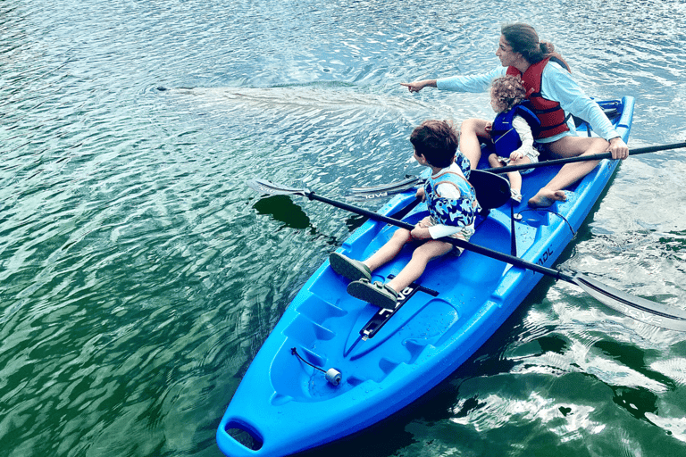 Miami: Manatee Season Paddleboard or Kayak Tour Miami: Manatee Season Single Kayak Tour