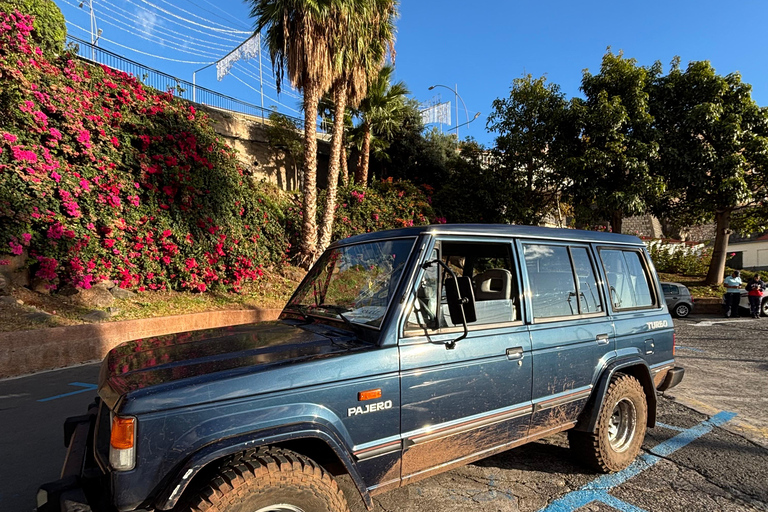 Madeira: Exotic Birds & Valleys 4x4 Safari with Local Guide Shared Exotic Birds & Valleys 4x4 Expedition Local Guide