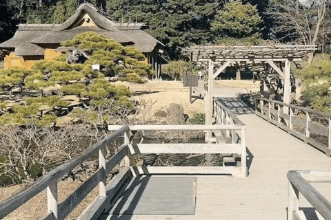 Tokio: rondleiding door de Tsukiji-markt en de Hama-rikyu-tuinen