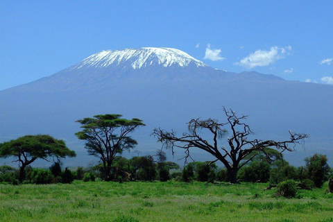 9 days Mt Kilimanjaro, Ngorongoro, Serengeti national park