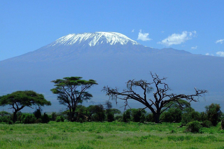 9 days Mt Kilimanjaro, Ngorongoro, Serengeti national park