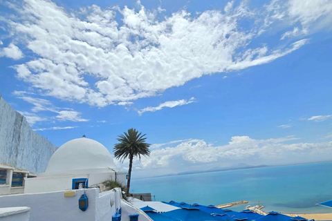 From Tunis/Hammamet: Carthage, Sidi Bou Said, and the Medina Carthage, Sidi Bou Said & Medina (coach and driver only)