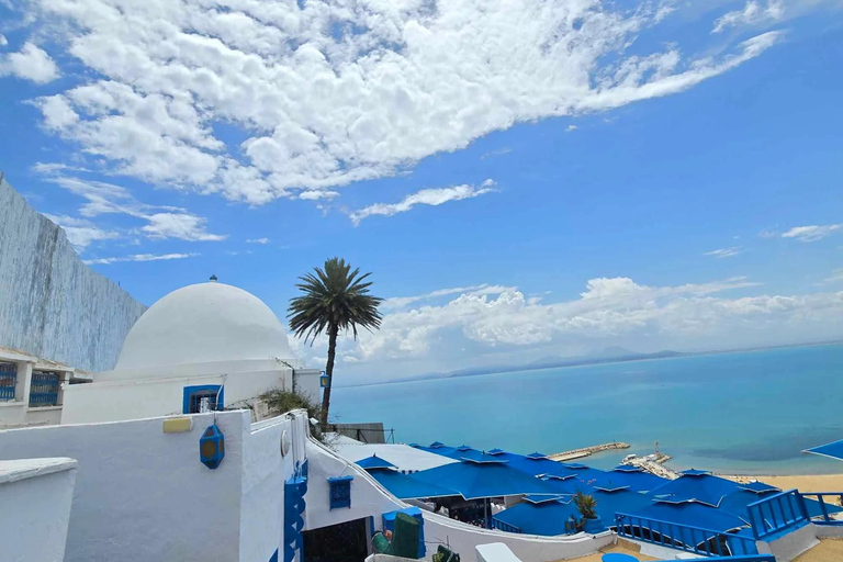 From Tunis/Hammamet: Carthage, Sidi Bou Said, and the Medina Carthage, Sidi Bou Said & Medina (coach and driver only)